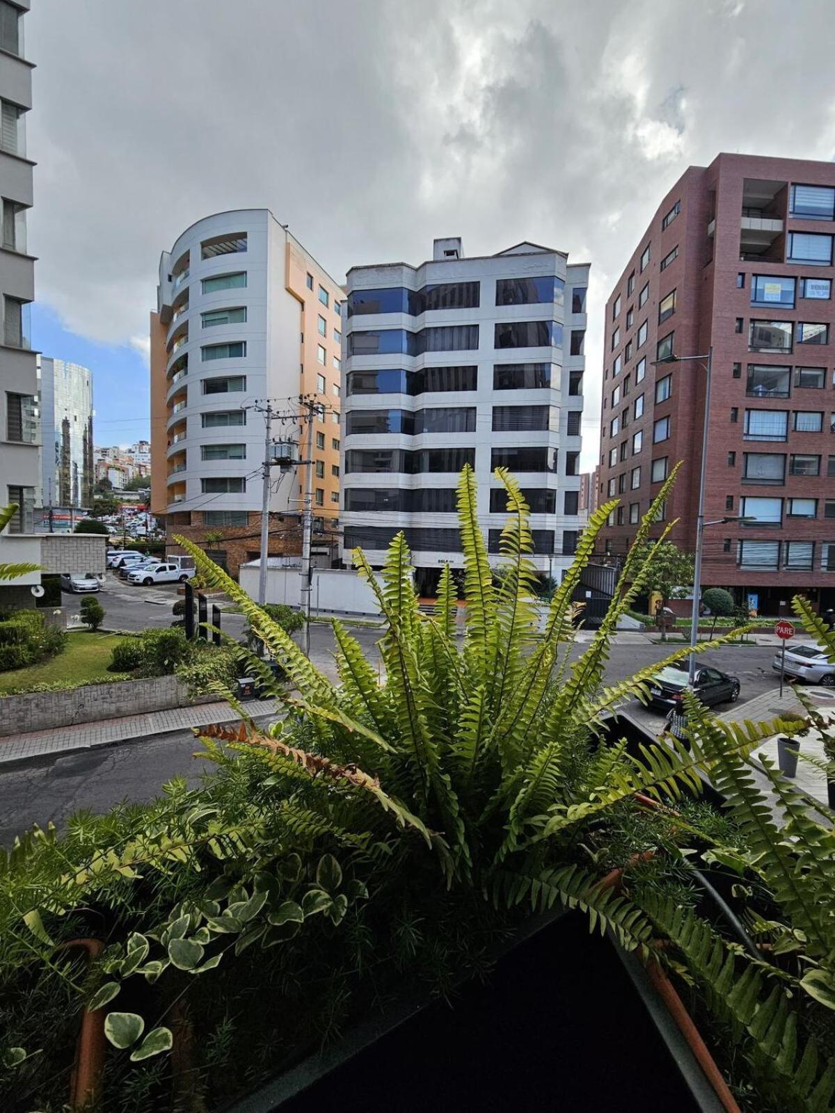 Luxury Sector La Carolina Appartement *
